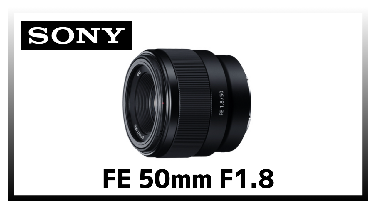 SONY FE 85mm F1.8レビュー｜価格以上の価値を備えた中望遠