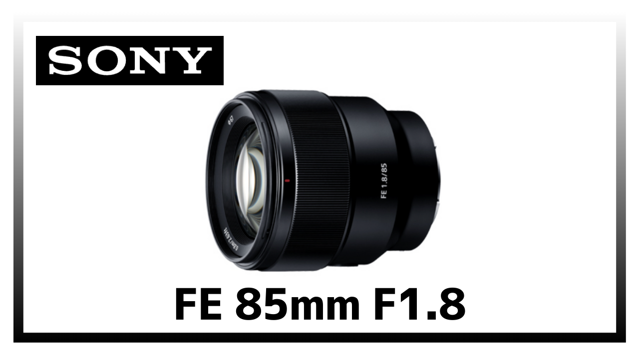 SONY FE 85mm F1.8レビュー｜価格以上の価値を備えた中望遠